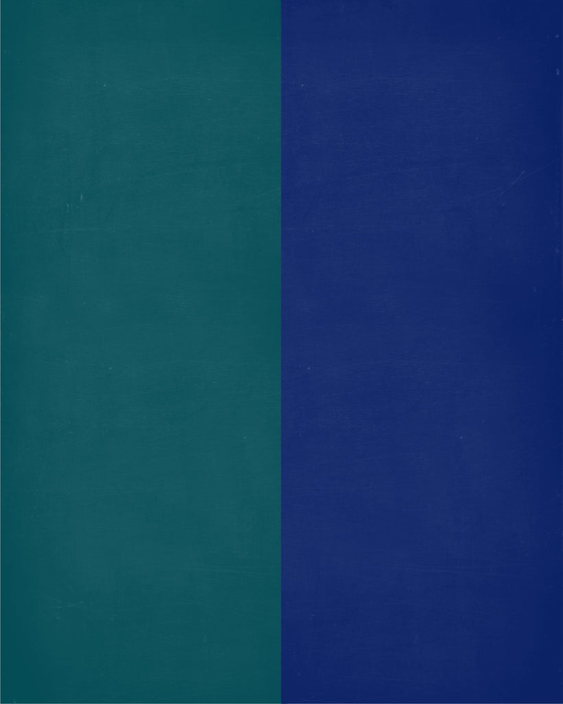 House Divided Philadelphia Eagles & New York Giants Personalized Chr