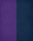 A House Divided - LSU Tigers and Auburn Tigers Personalized Family Name Christian Print
