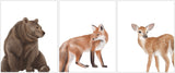 Watercolor Woodland Animals Nursery Set of 3 Unframed Prints Bear Fox and Deer