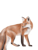 Watercolor Woodland Animals Nursery Set of 3 Unframed Prints Bear Fox and Deer