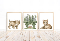 Baby Lynx Woodland Forest Animals Wilderness Watercolor Nursery Decor Set of 3 Unframed Prints
