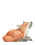 Baby Fox Woodland Forest Animals Wilderness Watercolor Nursery Decor Set of 3 Unframed Prints