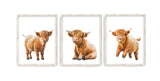 Watercolor Highland Cow Rustic Farm Nursery Decor Set of 3 Unframed Farmhouse Farm Baby Calf Prints