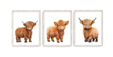 Watercolor Highland Cow Rustic Farm Nursery Decor Set of 3 Unframed Farmhouse Farm Baby Calf Prints