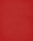 In Our House We Will Serve The Lord And Cheer for The Central Missouri Mules Personalized Family Name Christian Print
