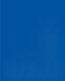 In Our House We Will Serve The Lord And Cheer for The Delaware Blue Hens Personalized Family Name Christian Print
