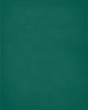 In Our House We Will Serve The Lord And Cheer for The Tulane Green Wave Personalized Family Name Christian Print