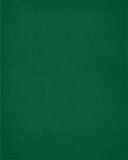 In Our House We Will Serve The Lord And Cheer for The Vermont Catamounts Personalized Family Name Christian Print