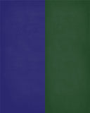 A House Divided Baltimore Ravens & Green Bay Packers Personalized Family Name Christian Print