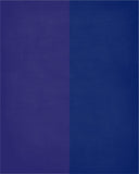 A House Divided Baltimore Ravens and New York Giants Custom Name Christian Print