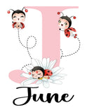 Personalized Watercolor Ladybug Pink and Black Daisy Floral Baby Girl Nursery Unframed Print