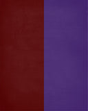 A House Divided - Texas A&M Aggies and LSU Tigers Personalized Family Name Christian Print