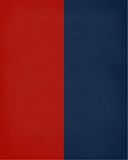 A House Divided - Georgia Bulldogs & Auburn Tigers Personalized Family Name Christian Print