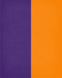 A House Divided - LSU Tigers and Tennessee Volunteers Personalized Family Name Christian Print