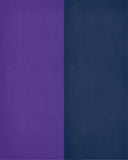 A House Divided - Minnesota Vikings & Los Angeles Chargers Personalized Family Name Christian Print