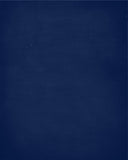 In Our House We Will Serve The Lord And Cheer for The Detroit Tigers Personalized Christian Print in Chalk