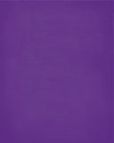 In Our House We Will Serve The Lord And Cheer for The Abilene Christian Wildcats Personalized Family Name Christian Print