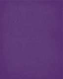 In Our House We Will Serve The Lord And Cheer for The Alcorn State Braves Personalized Christian Print