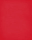 In Our House We Will Serve The Lord And Cheer for The Arkansas State Red Wolves Personalized Family Name Christian Print