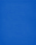 In Our House We Will Serve The Lord And Cheer for The Buffalo Bulls Personalized Family Name Christian Print