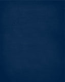 In Our House We Will Serve The Lord And Cheer for The Canisius Golden Griffins Personalized Family Name Christian Print