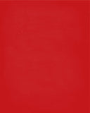 In Our House We Will Serve The Lord And Cheer for The Louisville Cardinals Personalized Christian Print - sports art - multiple sizes