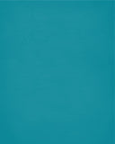 In Our House We Will Serve The Lord And Cheer for The San Jose Sharks Personalized Christian Print - sports art - multiple sizes