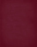 In Our House We Will Serve The Lord And Cheer for The Florida State Seminoles Personalized Family Name Christian Print