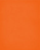 In Our House We Will Serve The Lord And Cheer for The Clemson Tigers Personalized Family Name Christian Print