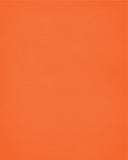 In Our House We Will Serve The Lord And Cheer for The Baltimore Orioles Personalized Family Name Christian Print