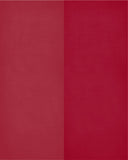A House Divided - Arkansas Razorbacks and Alabama Crimson Tide Personalized Family Name Christian Print