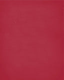 In Our House We Will Serve The Lord And Cheer for The Stanford Cardinals Personalized Family Name Christian Print