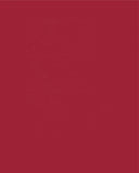 In Our House We Will Serve The Lord And Cheer for The Arkansas Razorbacks Personalized Family Name Christian Print