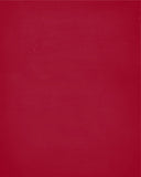 In My House I Will Serve The Lord And Cheer for The Alabama Crimson Tide Christian Print
