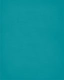 In Our House We Will Serve The Lord And Cheer for The Miami Dolphins personalized print - Christian gift sports art - multiple sizes