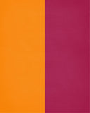 A House Divided - Tennessee Volunteers & Virginia Tech Hokies - Christian Sports Print