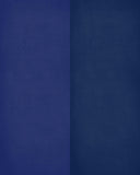 A House Divided - New York Giants & Denver Broncos Personalized Family Name Christian Print