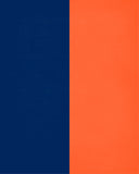 A House Divided - Penn State Nittany Lions and Florida Gators Christian Unframed Print