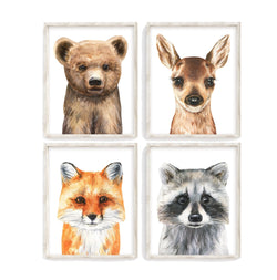 Watercolor Woodland Animals Nursery Set of 4 Unframed Prints Bear Fox Raccoon and Deer