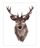 Deer Head Watercolor Nature Rustic Hunting Outdoor Themed Decor Nursery Little Boys Room Unframed Print