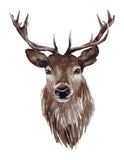 Deer Head Watercolor Nature Rustic Hunting Outdoor Themed Decor Nursery Little Boys Room Unframed Print