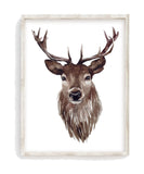 Deer Head Watercolor Nature Rustic Hunting Outdoor Themed Decor Nursery Little Boys Room Unframed Print