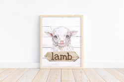 Lamb Watercolor Farm Animal Rustic Shiplap Farmhouse Nursery Decor Unframed Print