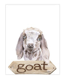 Goat Watercolor Farm Animal Rustic Farmhouse Nursery Decor Unframed Print