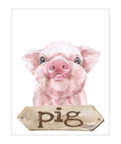 Pig Watercolor Farm Animal Rustic Farmhouse Nursery Decor Unframed Print