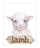 Lamb Watercolor Farm Animal Rustic Farmhouse Nursery Decor Unframed Print