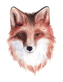 Fox Head Watercolor Nature Rustic Hunting Outdoor Themed Decor Nursery Little Boys Room Unframed Print