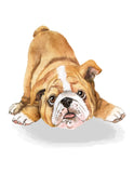 Playing Bulldog Puppy Dog Unframed Print, Nursery Decor, Kid's Bedroom, Dog Themed