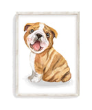 Yawning Bulldog Puppy Dog Unframed Print, Nursery Decor, Kid's Bedroom, Dog Themed