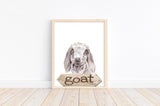 Goat Watercolor Farm Animal Rustic Farmhouse Nursery Decor Unframed Print